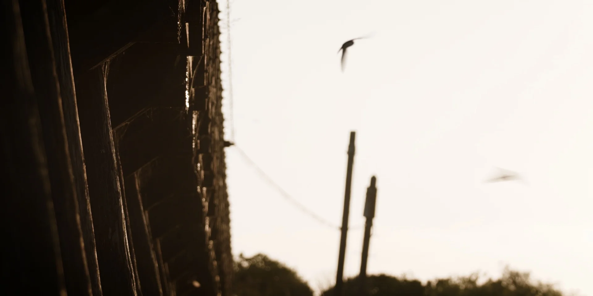 Untitled_1.222.1.jpg