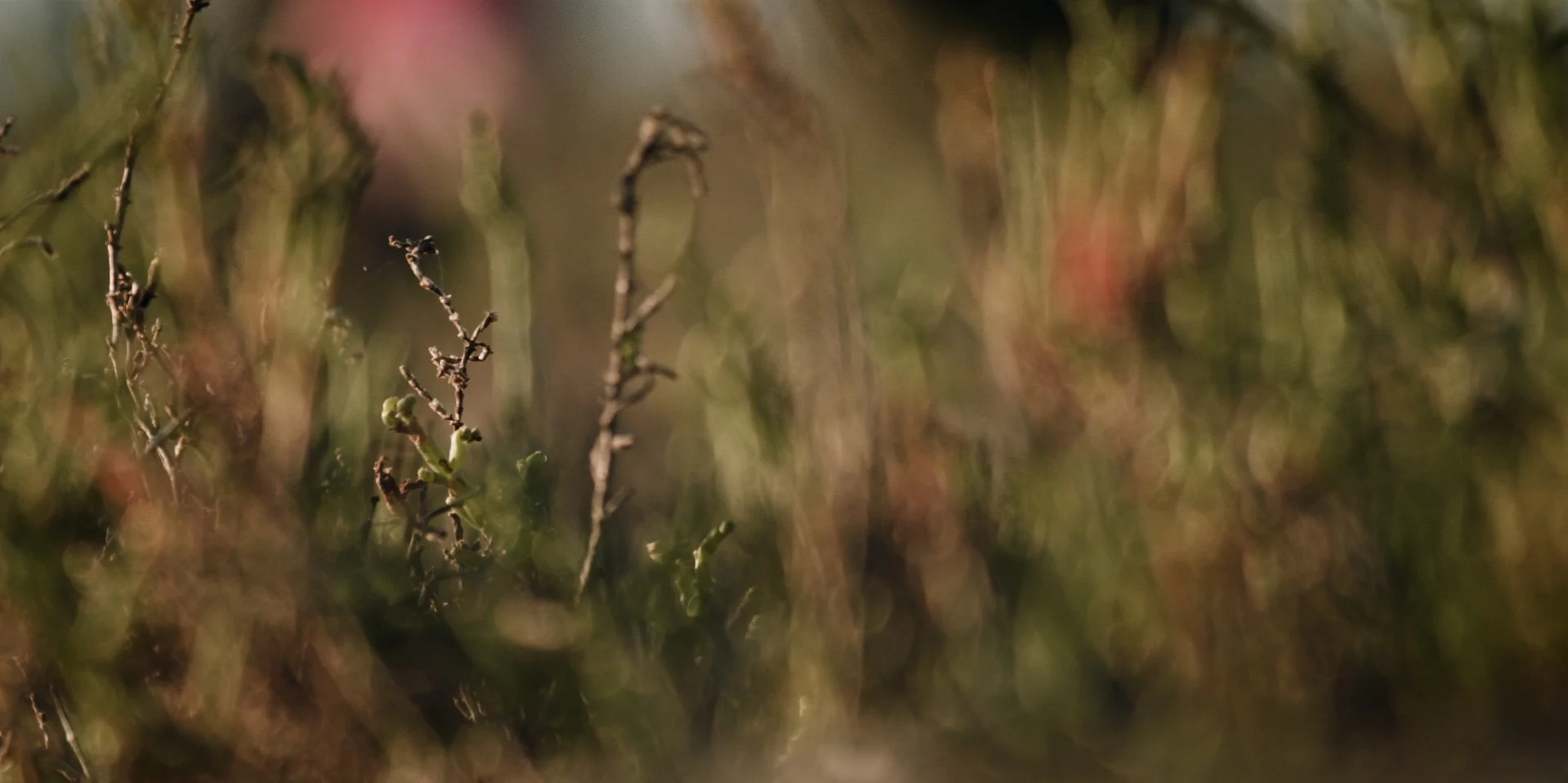 Untitled_1.228.1.jpg