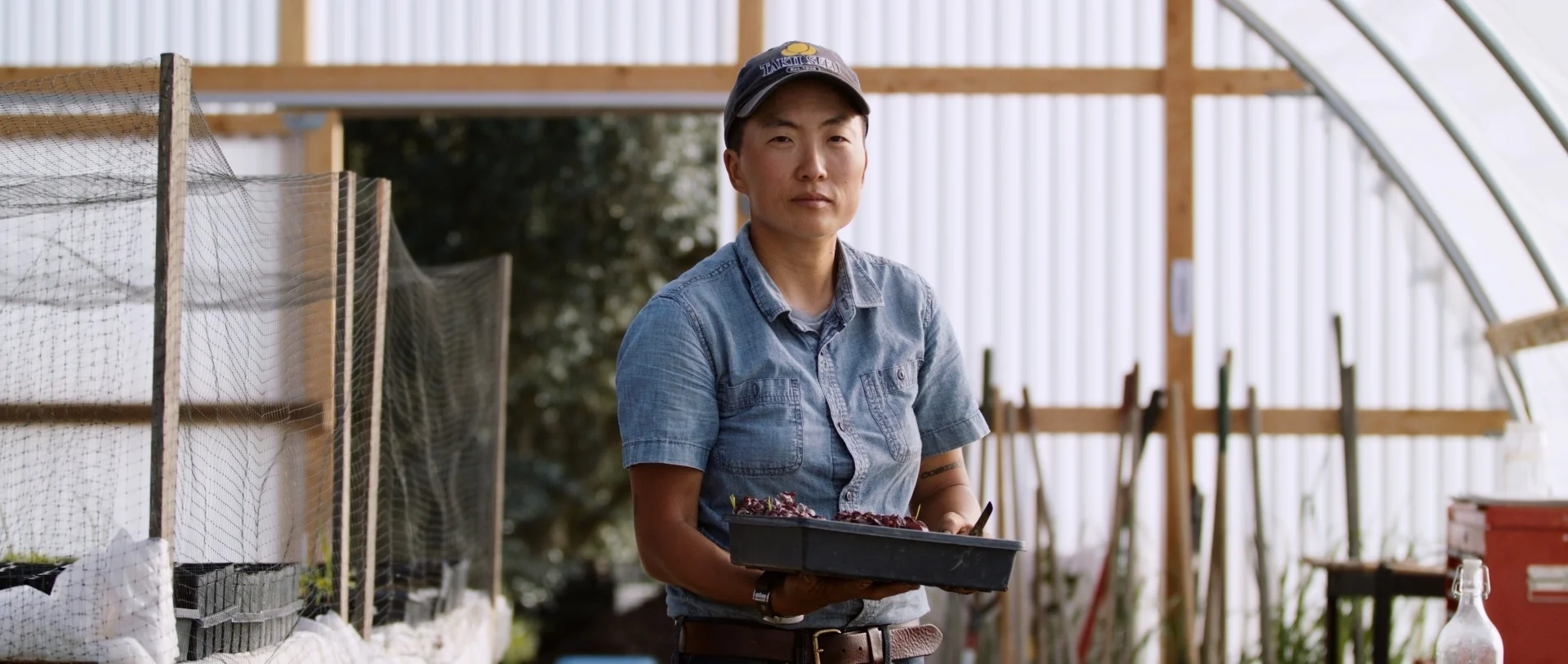 BFI_CST_Dailies_ 16.jpg