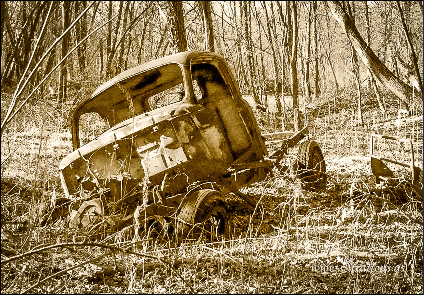 Cards-16.jpg