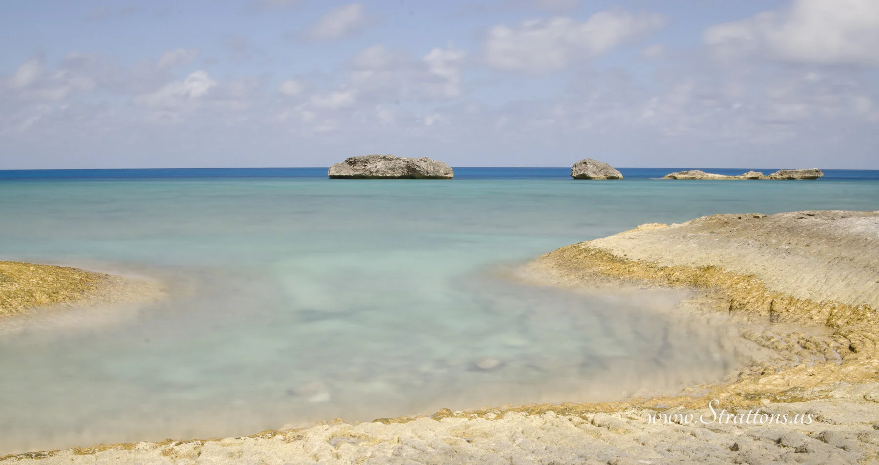 DSC_2493.jpg