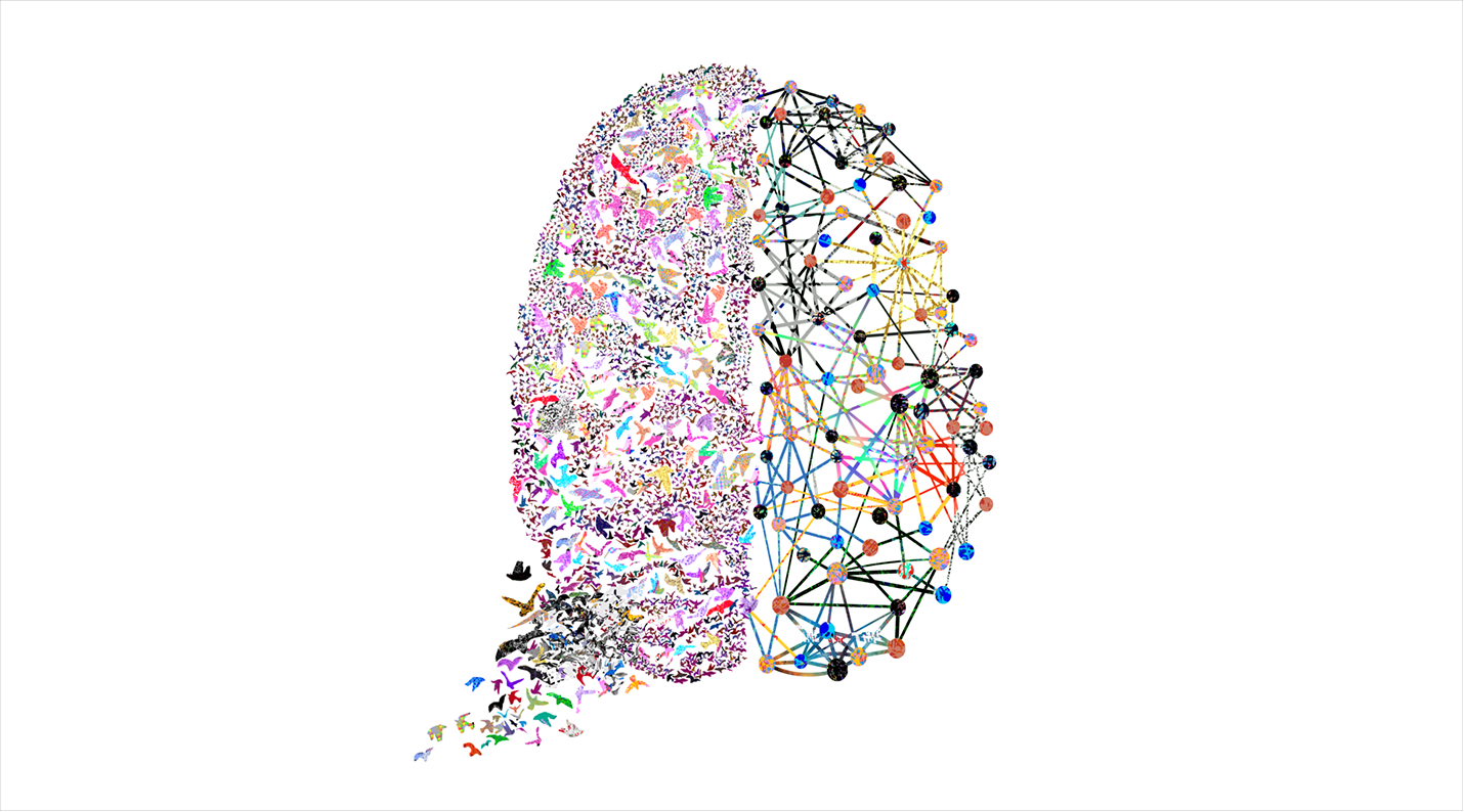 bbbrain (1).png