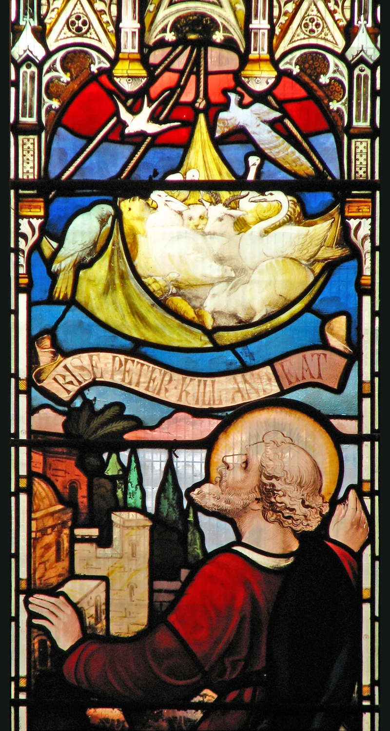 "Peter's Dream" | 5th Sunday of Easter | Year C | April 24th, 2016