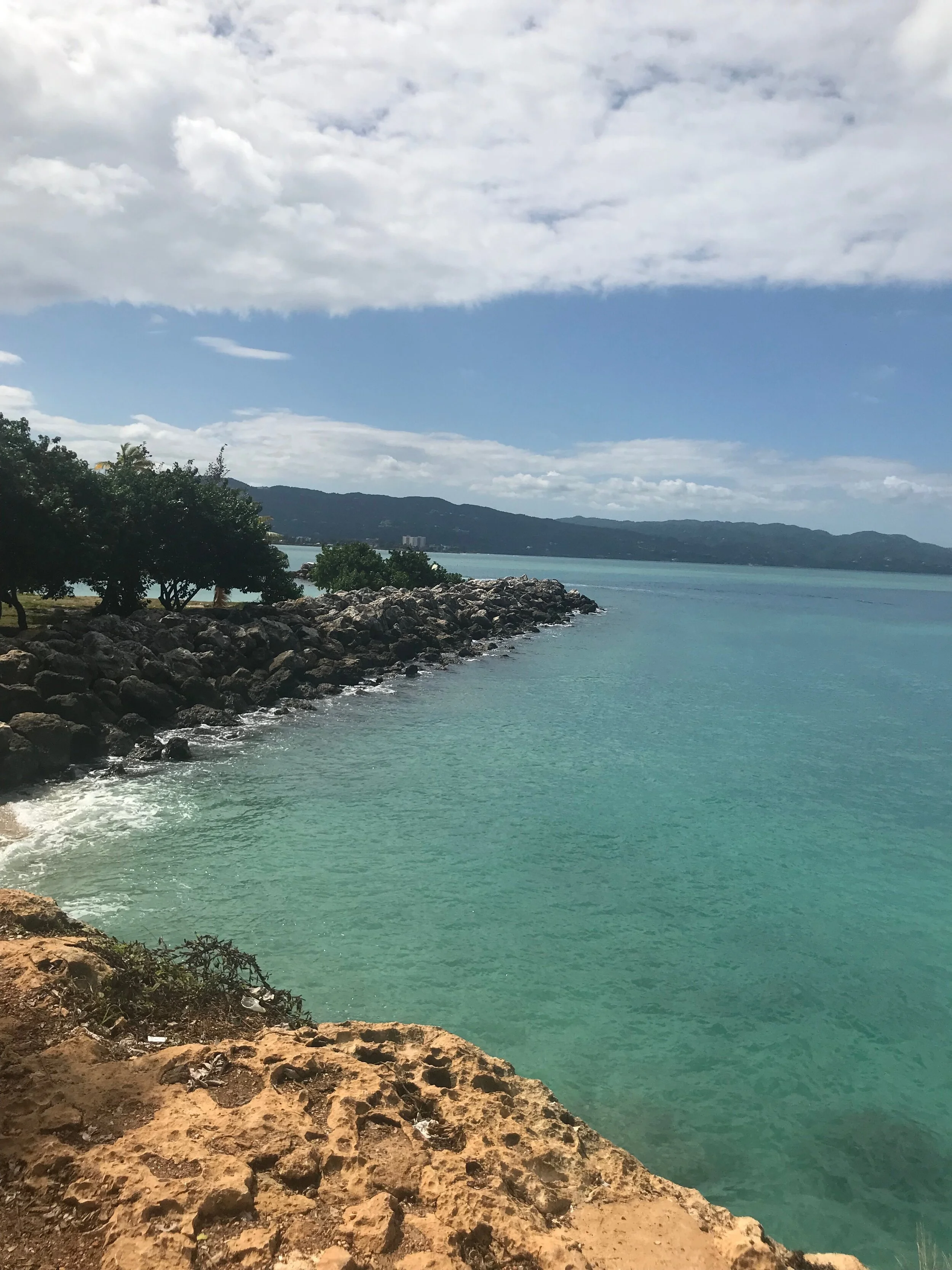 What does the ocean mean to you?