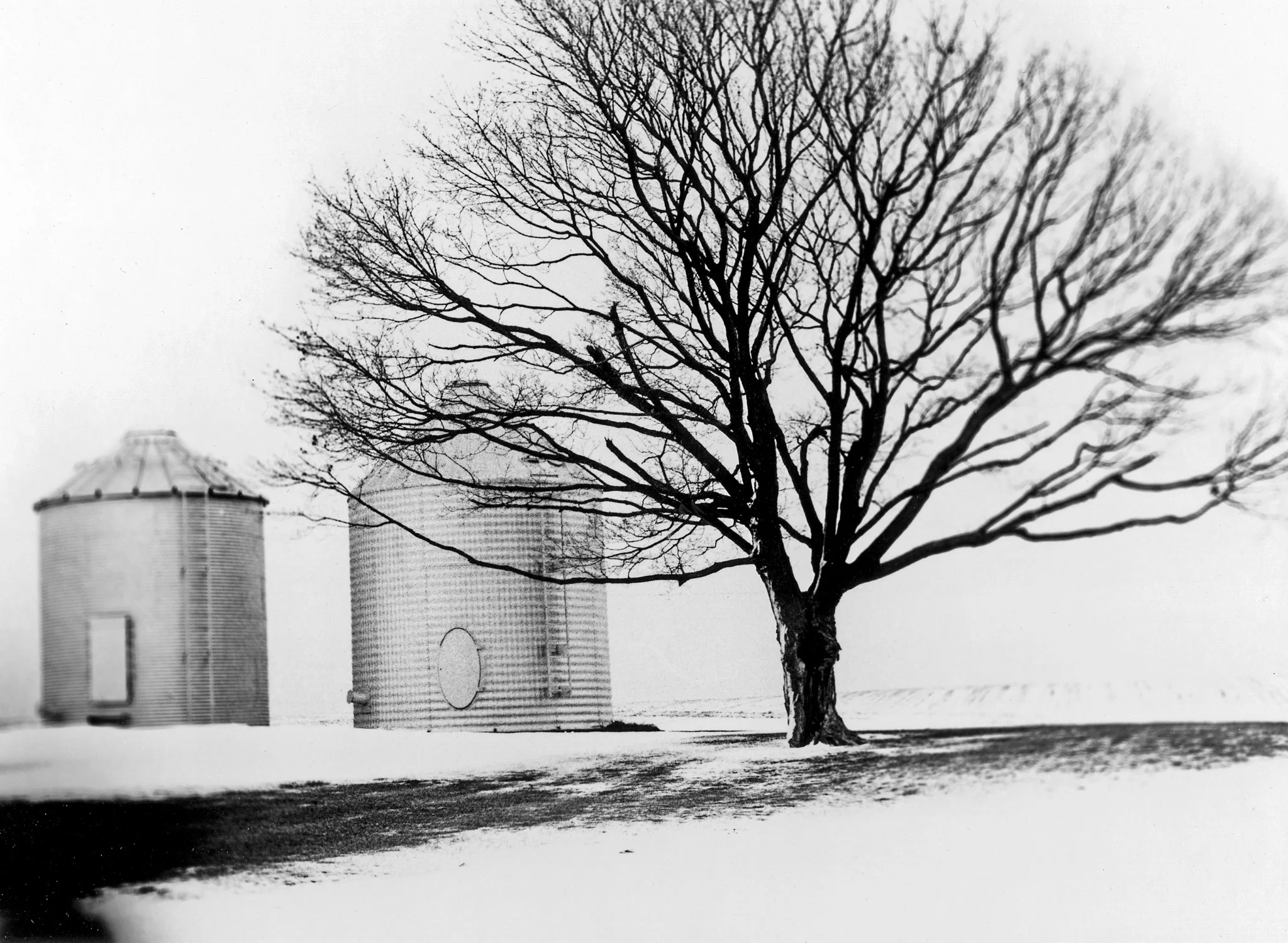 Honorable Mention | ©Molly Clark | Stevenson School