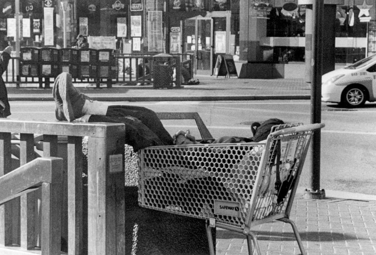 Social Commentary 1st Place | ©Emily Buswold Santa Catalina