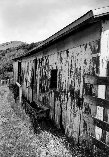 Honorable Mention | ©Rachel Wilson | Monterey Peninsula College