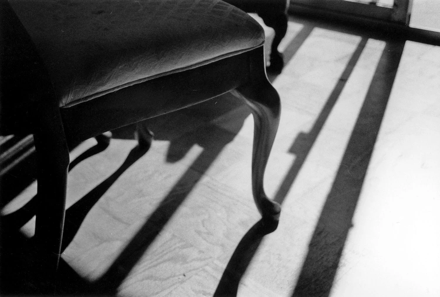 Honorable Mention | ©Lana Duong | Monterey Peninsula College