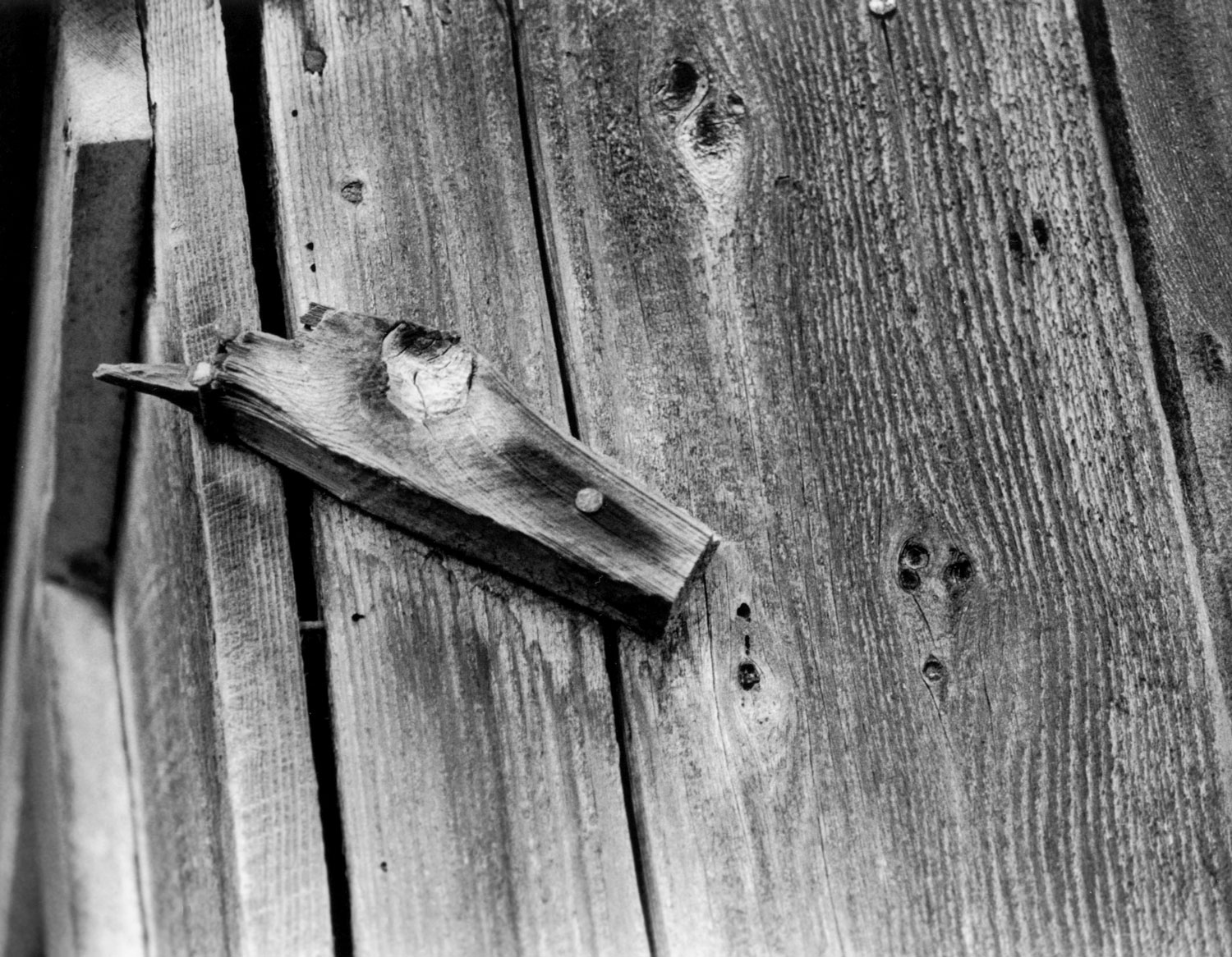 Honorable Mention | ©Sean Moser | Honorable Mention
