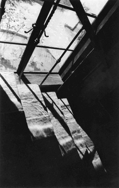 Honorable Mention | © Andrea Clare Bozzo | Santa Catalina