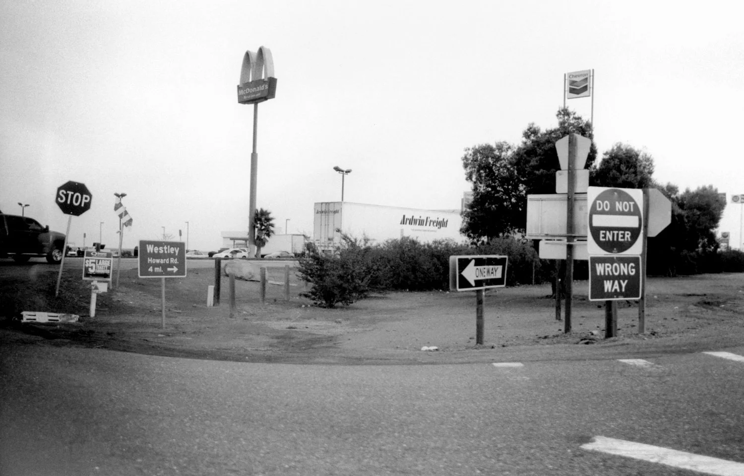 Honorable Mention | ©Anna McKendry | Stevenson High School