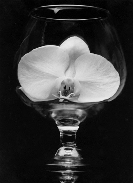 Honorable Mention | ©Ericel Jimenez | Hartnell College