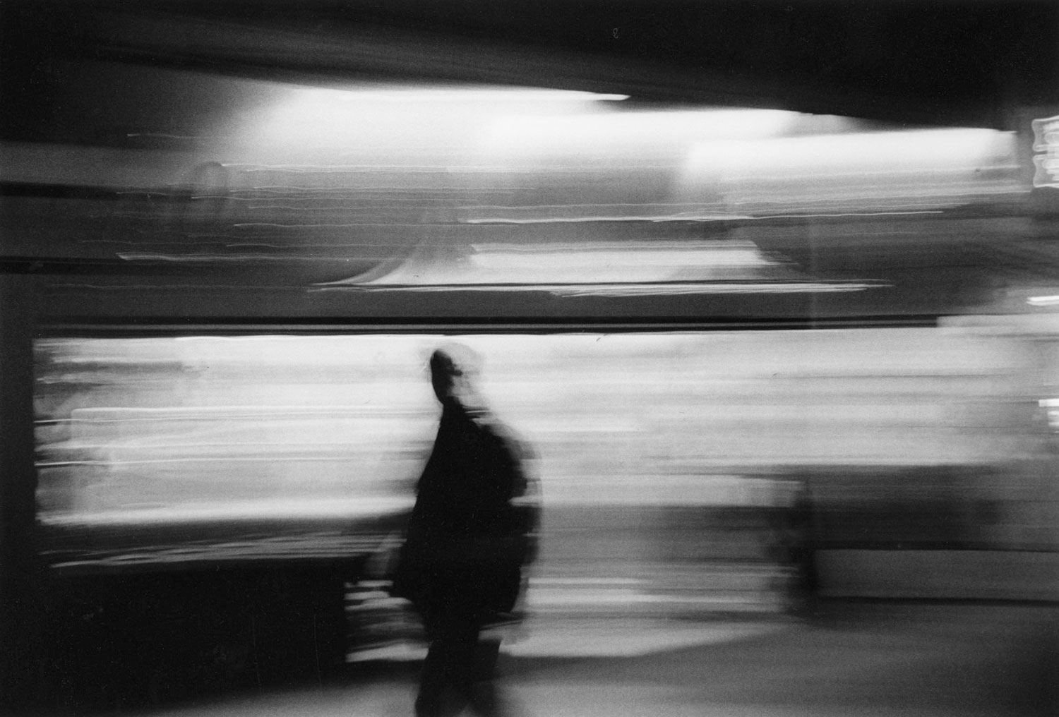 Honorable Mention |©Marcus Gaboni | Monterey Peninsula College