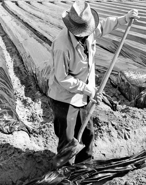 Social Commentary | ©Angel Rocha Monterey Peninsula College