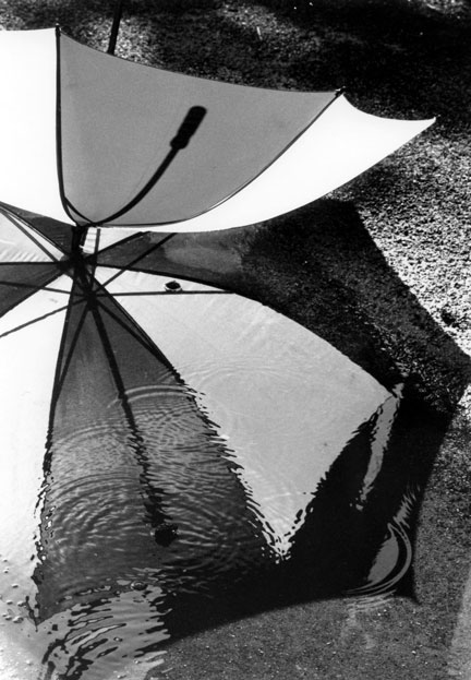 Weston Scholarship 2nd Place | ©Kaitlyn Cuskey | Pacific Grove High School