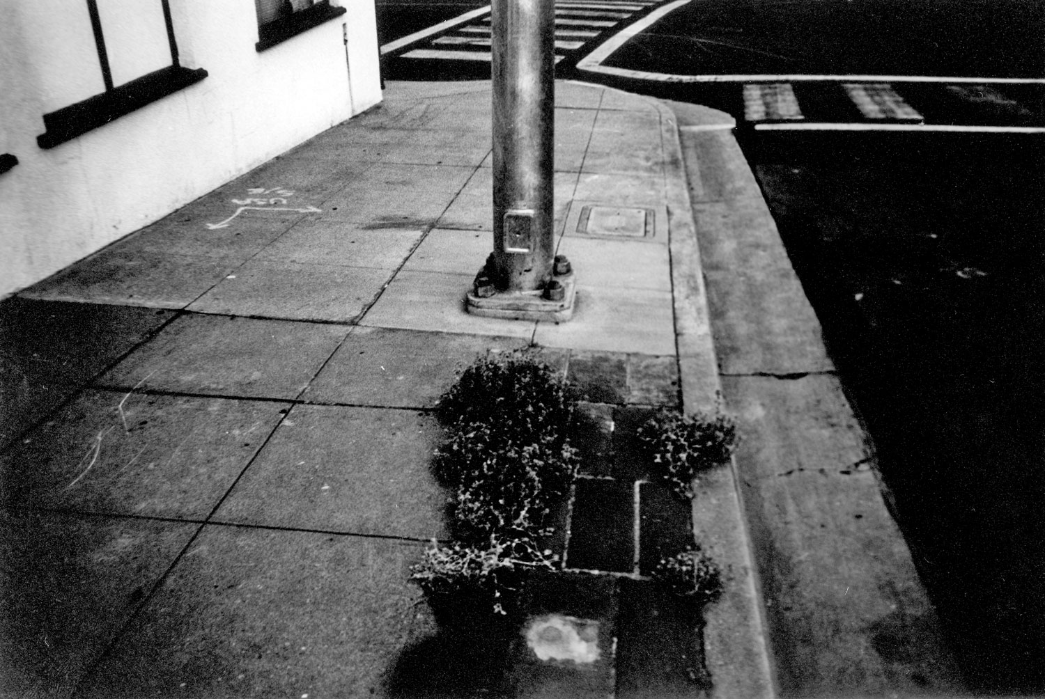 Honorable Mention | ©Michael Torre | Monterey High School