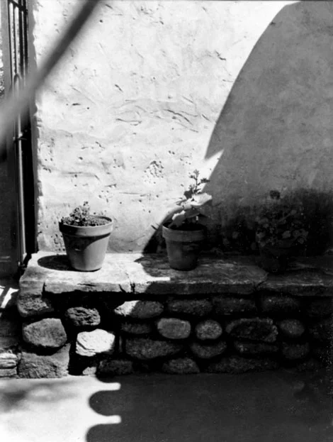 Weston Scholarship 2nd Place | ©Juliet Delasso | Monterey Peninsula College