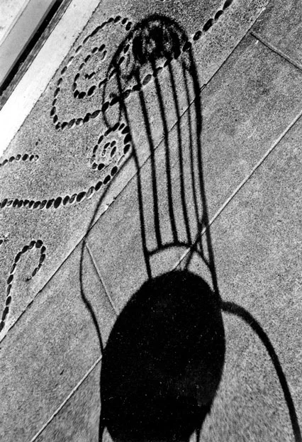 Honorable Mention | ©Whitney Romberg | Pacific Grove High School