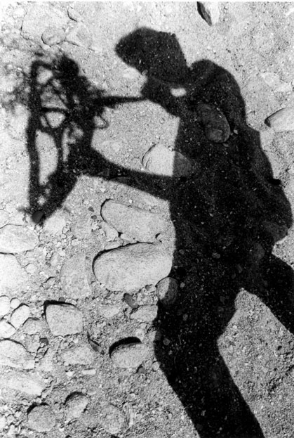 Honorable Mention | ©Jaclyn Carpenter | Pacific Grove High School