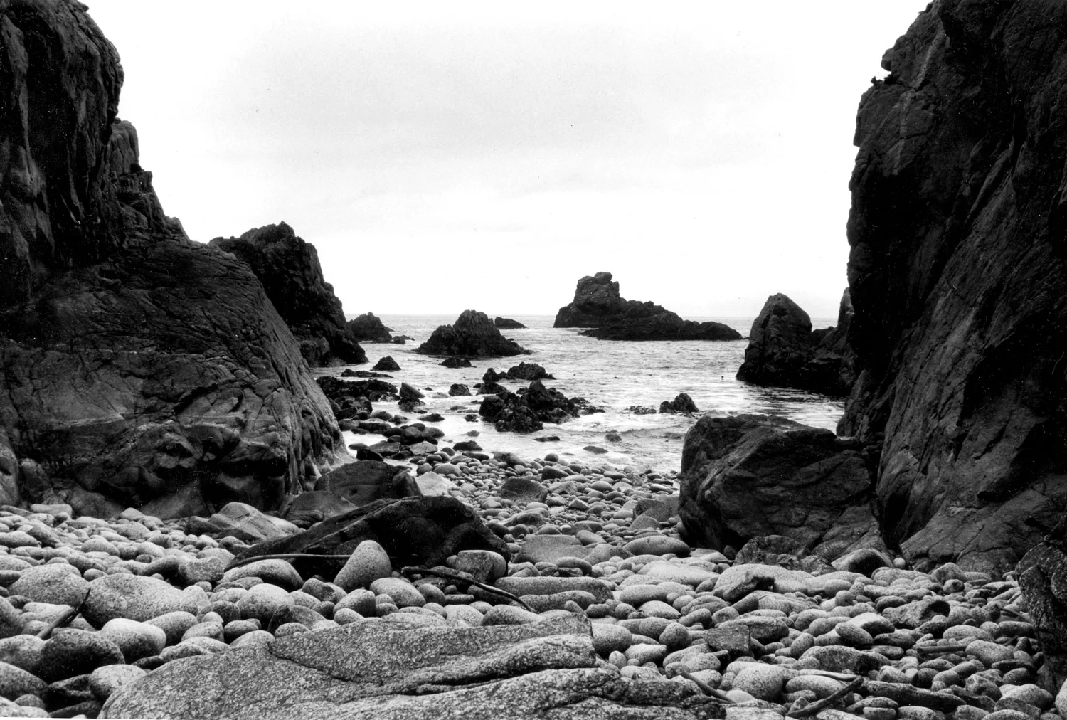 Weston Scholarship 1st Place | ©Nick Rivelli | Monterey Peninsula College