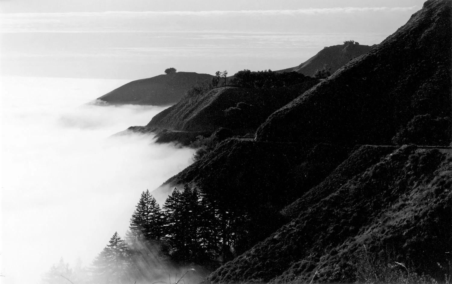 Weston Scholarship 2nd Place | ©Colin Twohig | Carmel High School