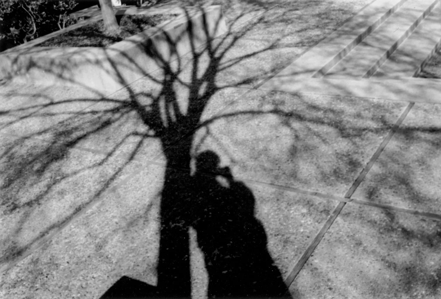 Weston Scholarship 2nd Place | ©Mallory Jebbia | Santa Catalina