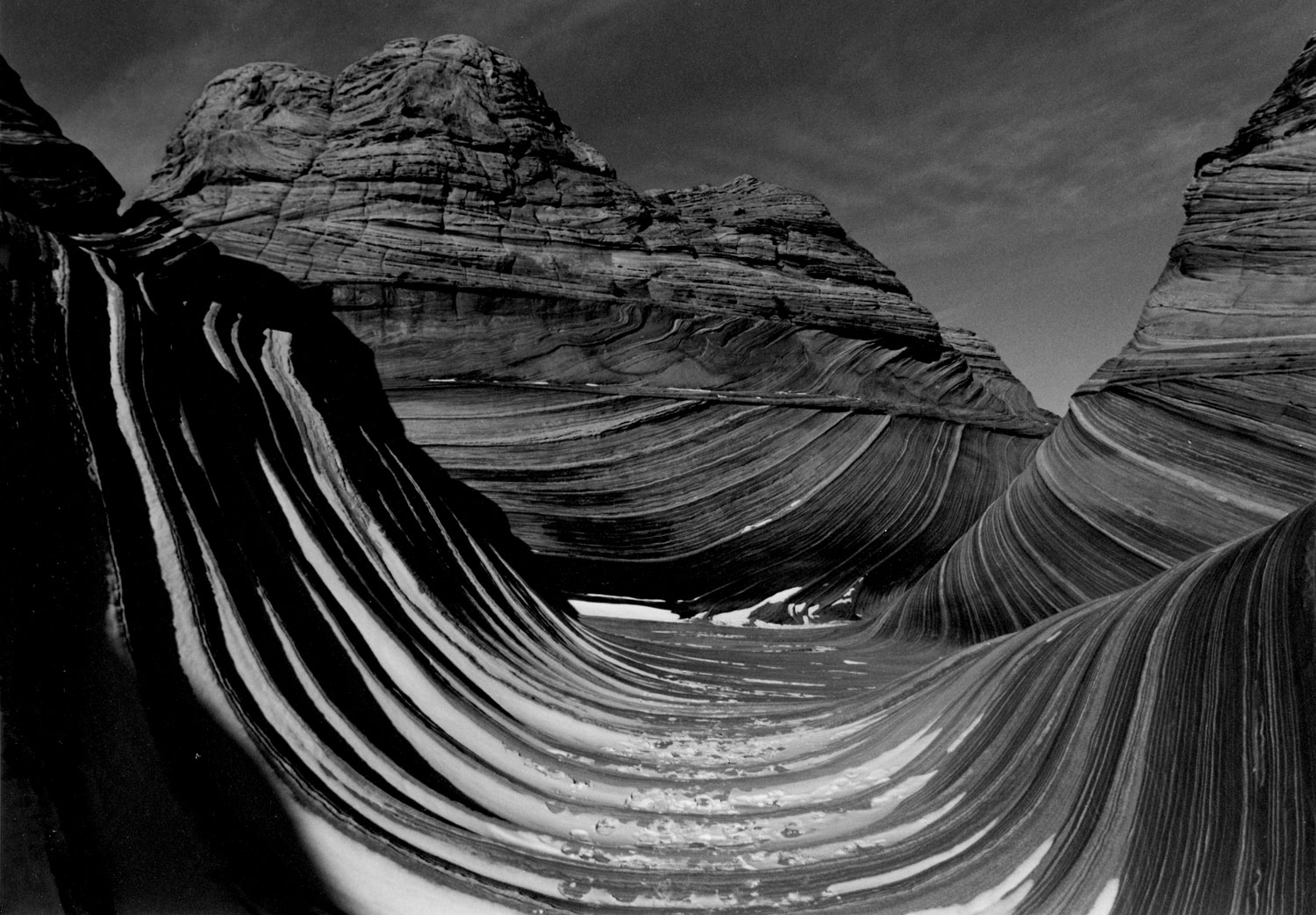 Weston Scholarship 3rd Place | ©Marketa Zlatuskova | Carmel High School