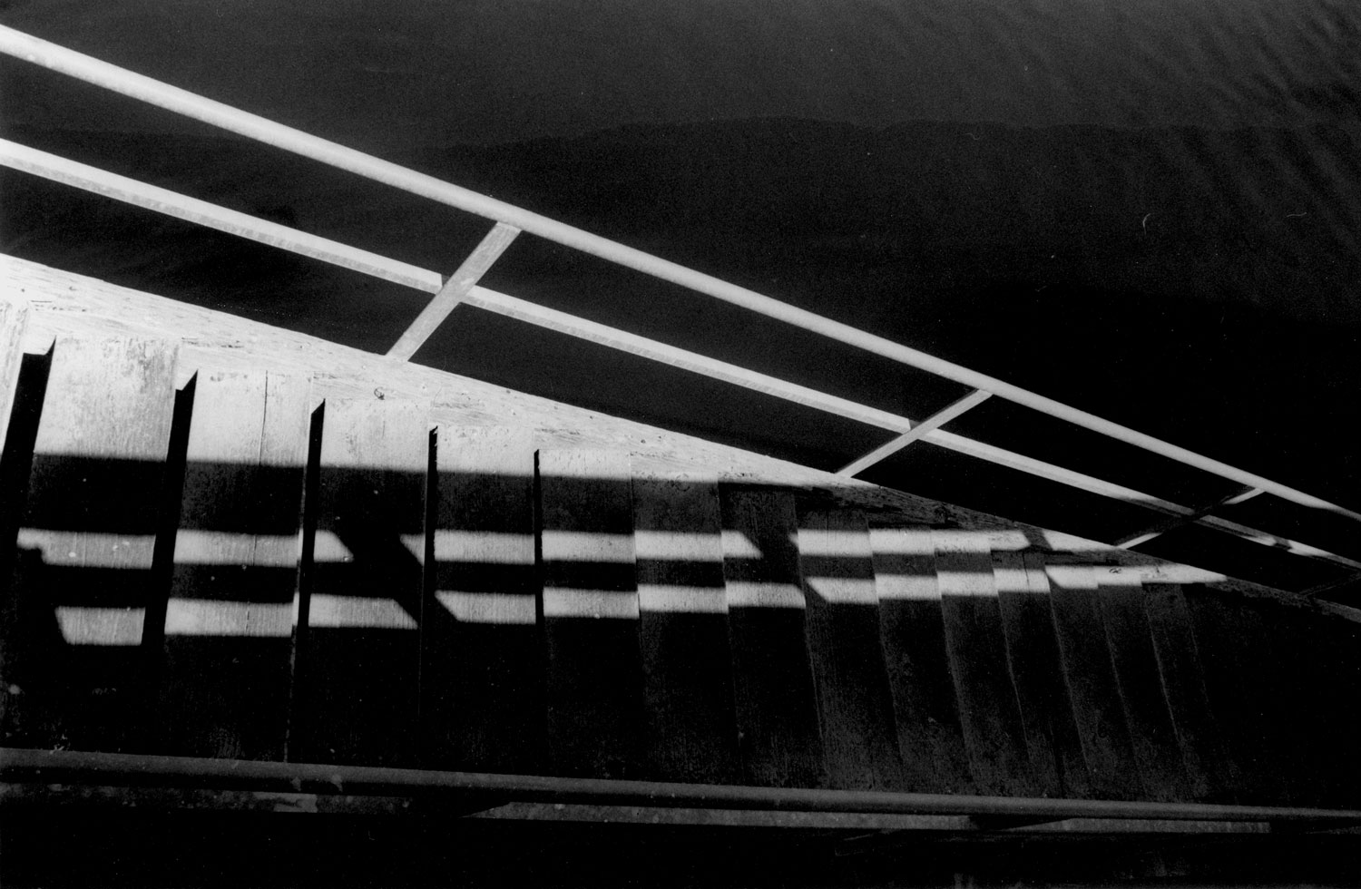Honorable Mention | ©Kathleen Weller | Carmel High School