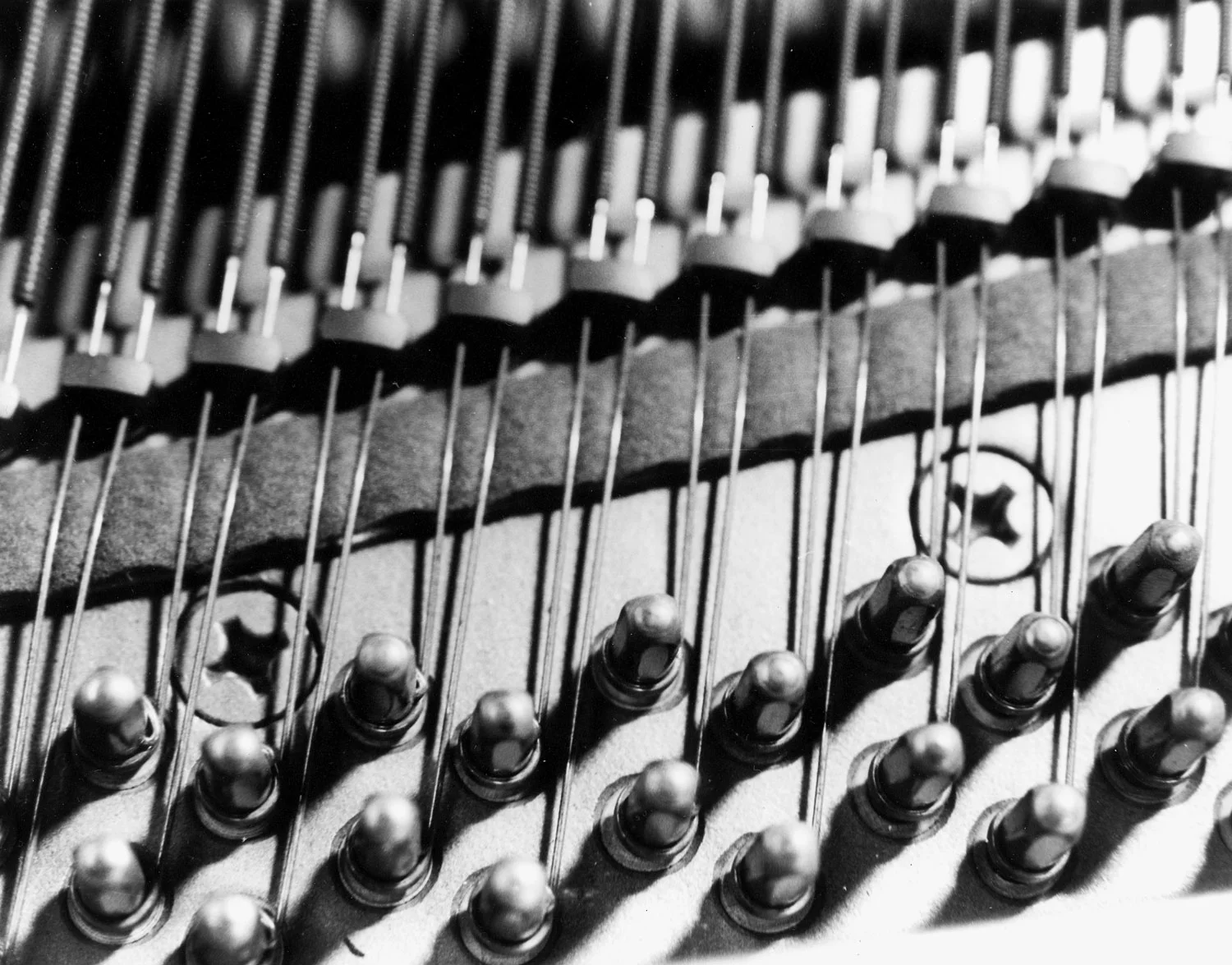 Honorable Mention | ©Michael Martinez | Pacific Grove High School