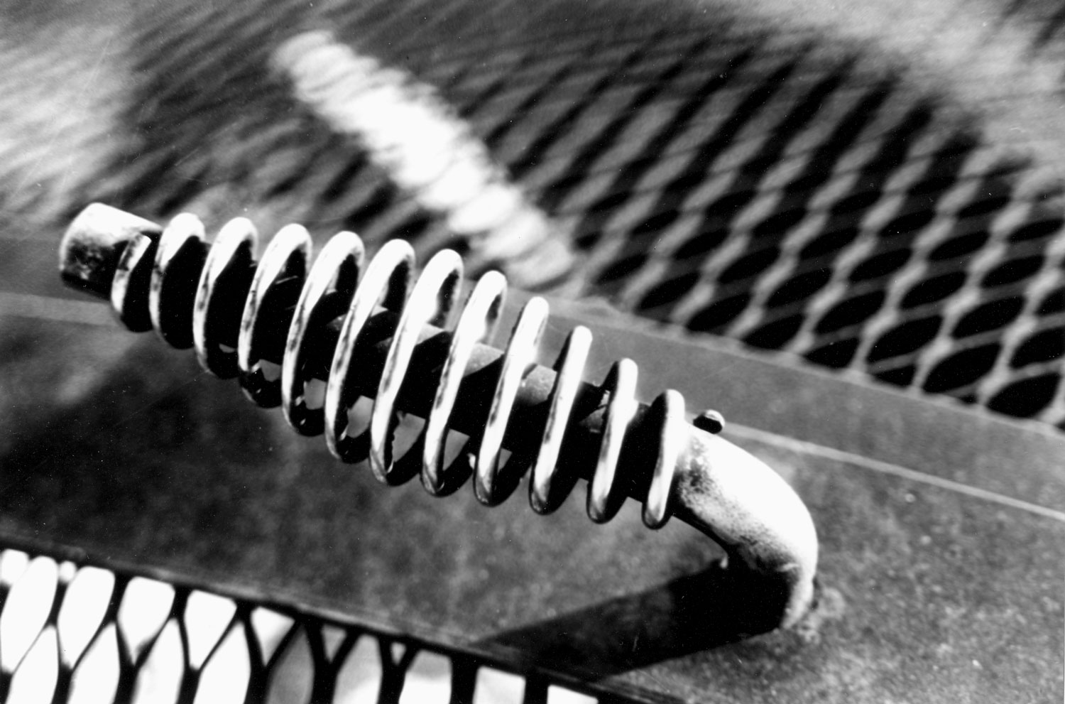 Honorable Mention | ©Brandon Cepress | Pacific Grove High School