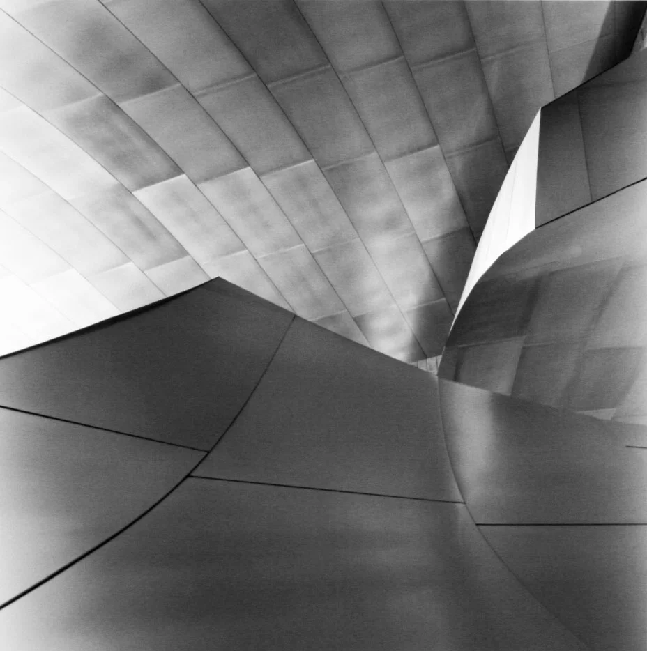 Honorable Mention | ©Clarice Hoffman | Monterey Peninsula College