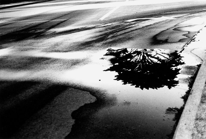 Honorable Mention | ©Brecken Thomas | Pacific Grove High School