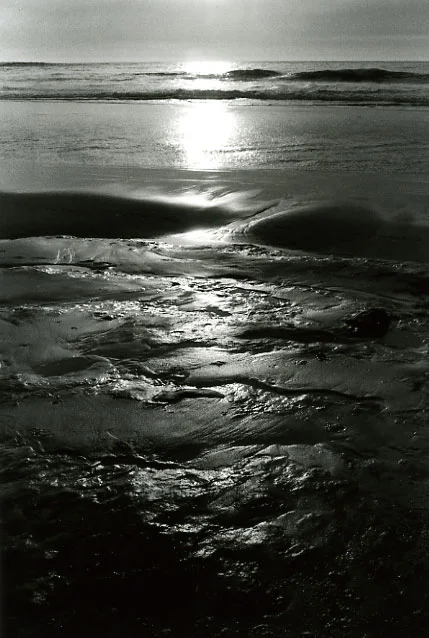 Honorable Mention | ©Shelby Fries | Carmel High School