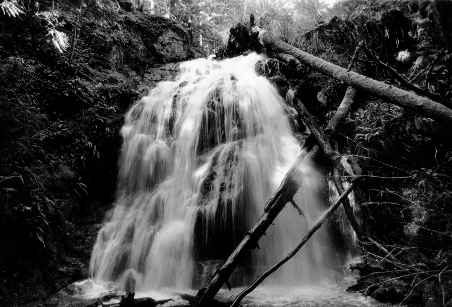 Honorable Mention | ©Dave Kurtman | Stevenson High School