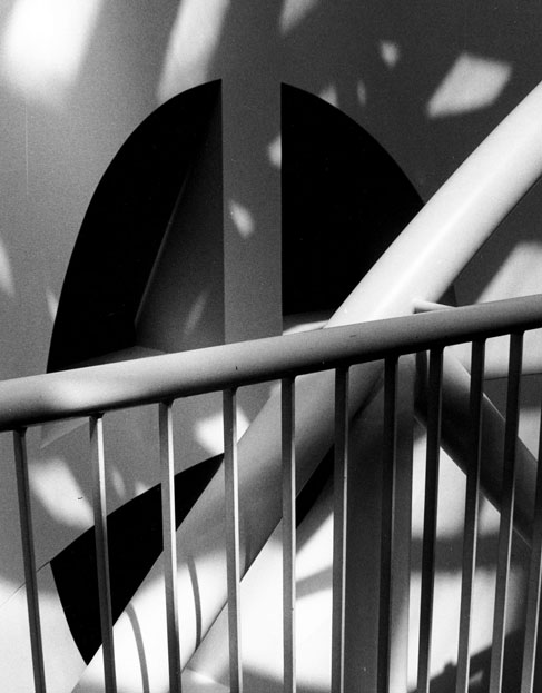 Honorable Mention | ©Catlin Erwin | Stevenson High School