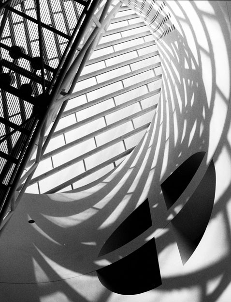Honorable Mention | ©Lindsay McFarlane | Stevenson High School