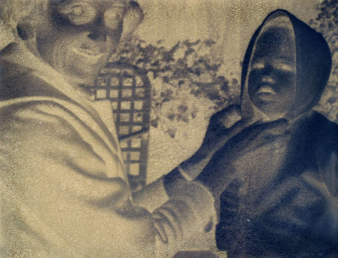 Honorable Mention | ©Hadley Clark | Santa Catalina