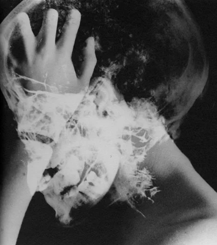 2012 Weston Scholarship Winners Announced 