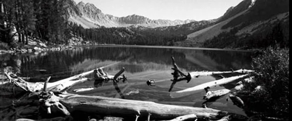 2013 Weston Scholarship Contest Checklist 