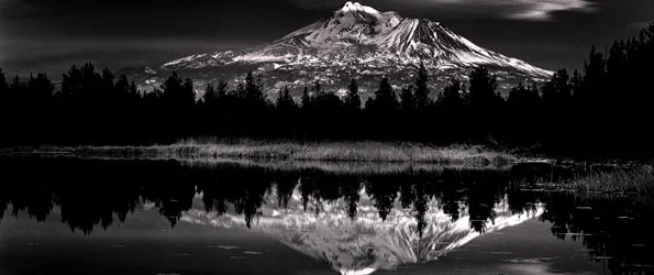 Continued Success with The Weston Scholarship