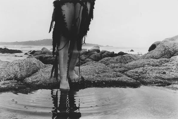 Weston Scholarship's Giving On the Rise!