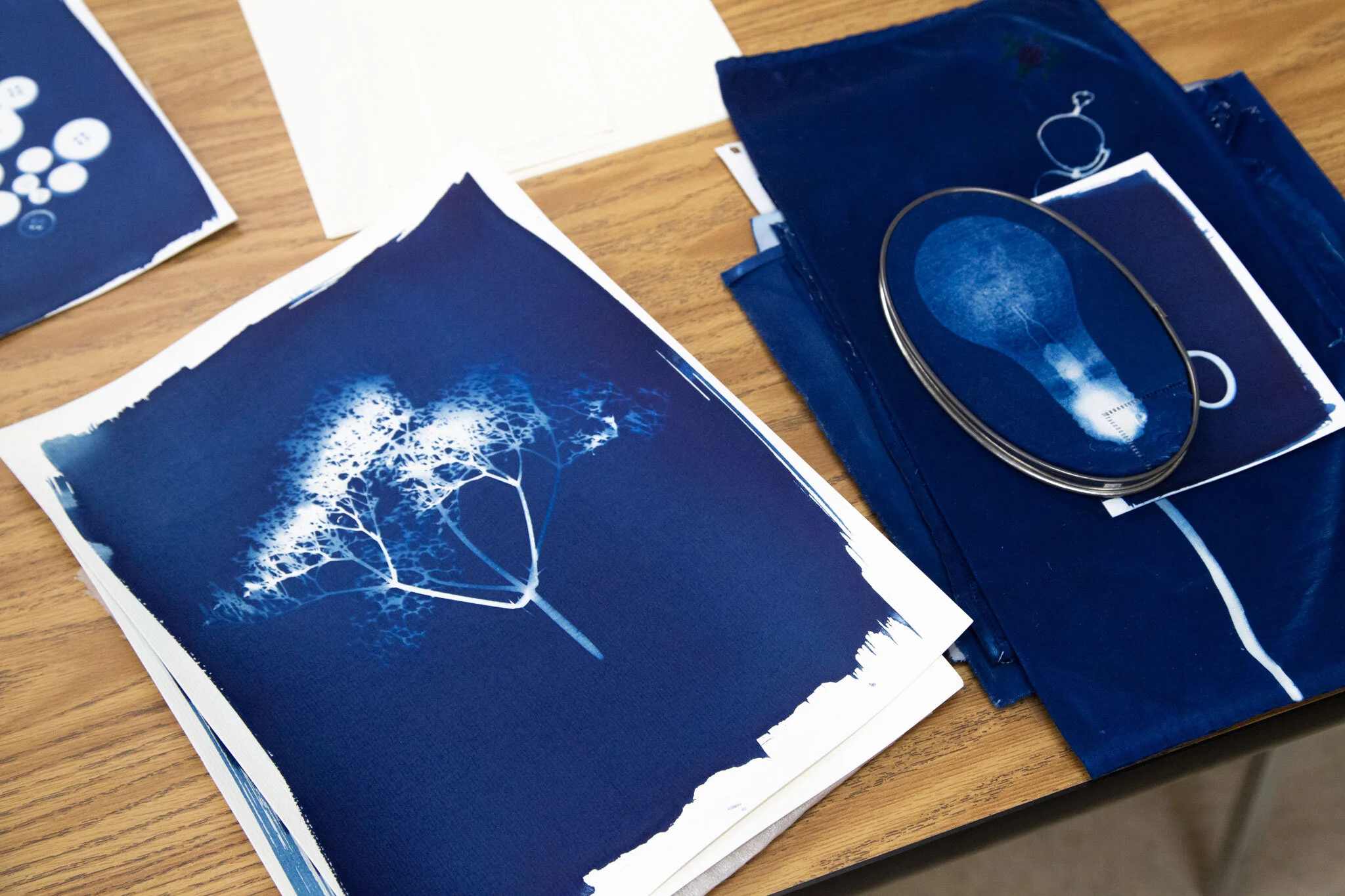 Cyanotype Workshop with Heidi Kirkpatrick