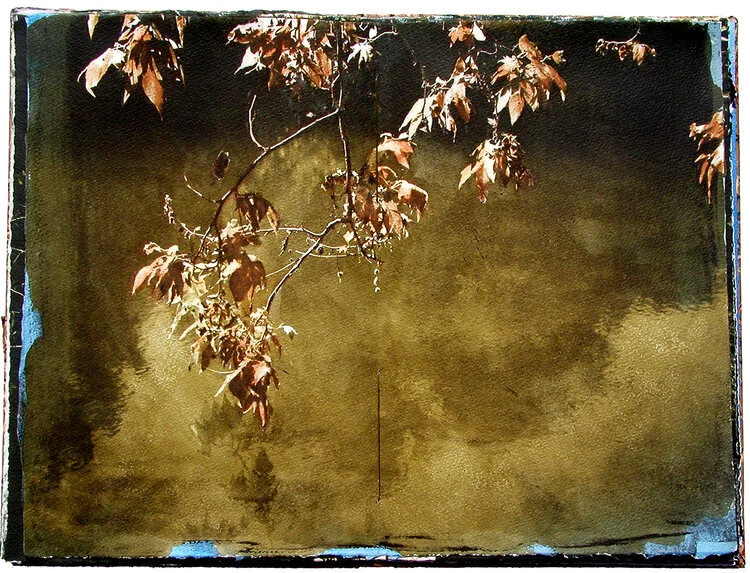 SOLD OUT! Gum Bichromate Workshop with Brian Taylor | September 10 - 12, 2021