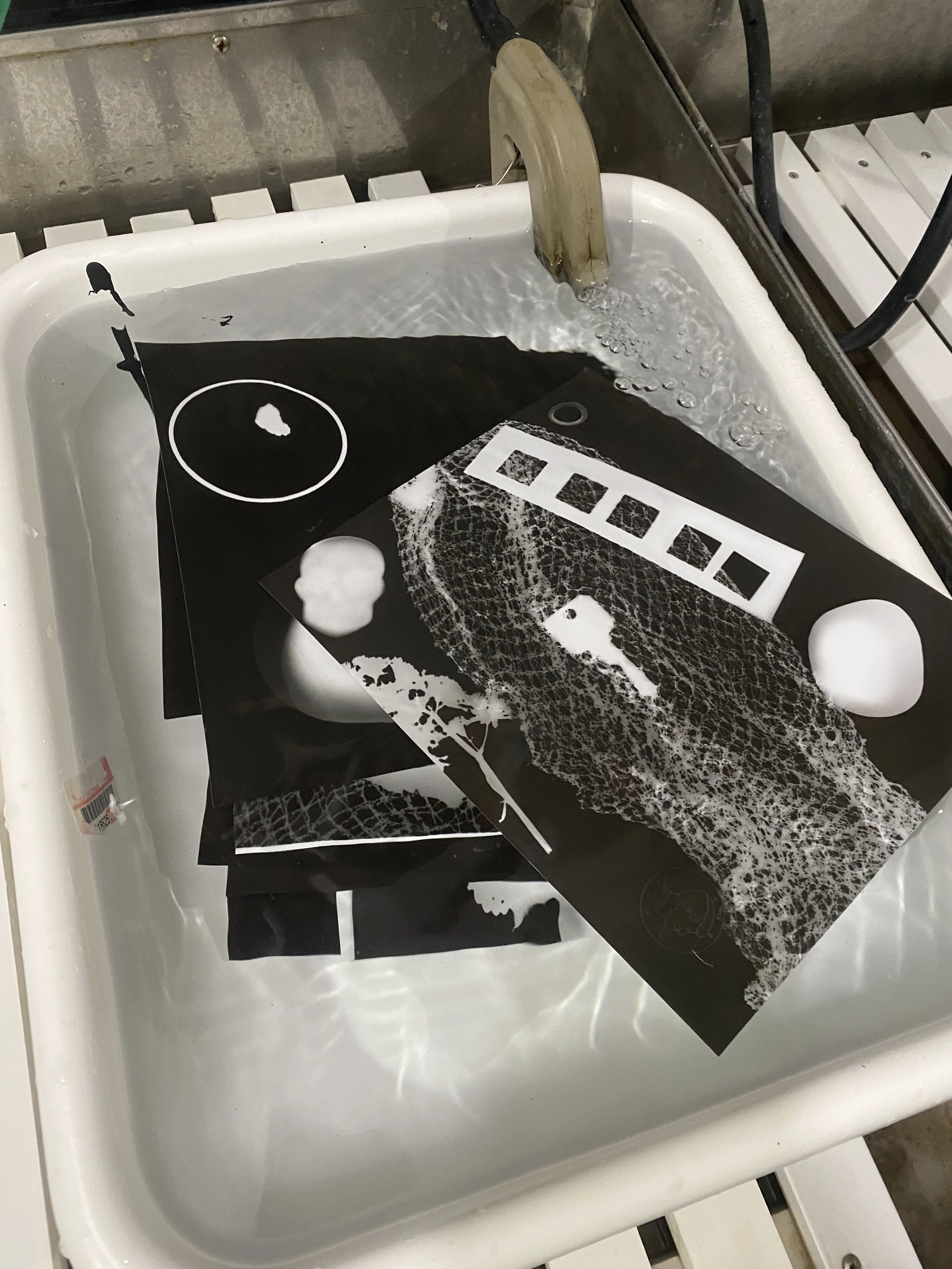 Youth Darkroom Photography Programs at The Weston Collective
