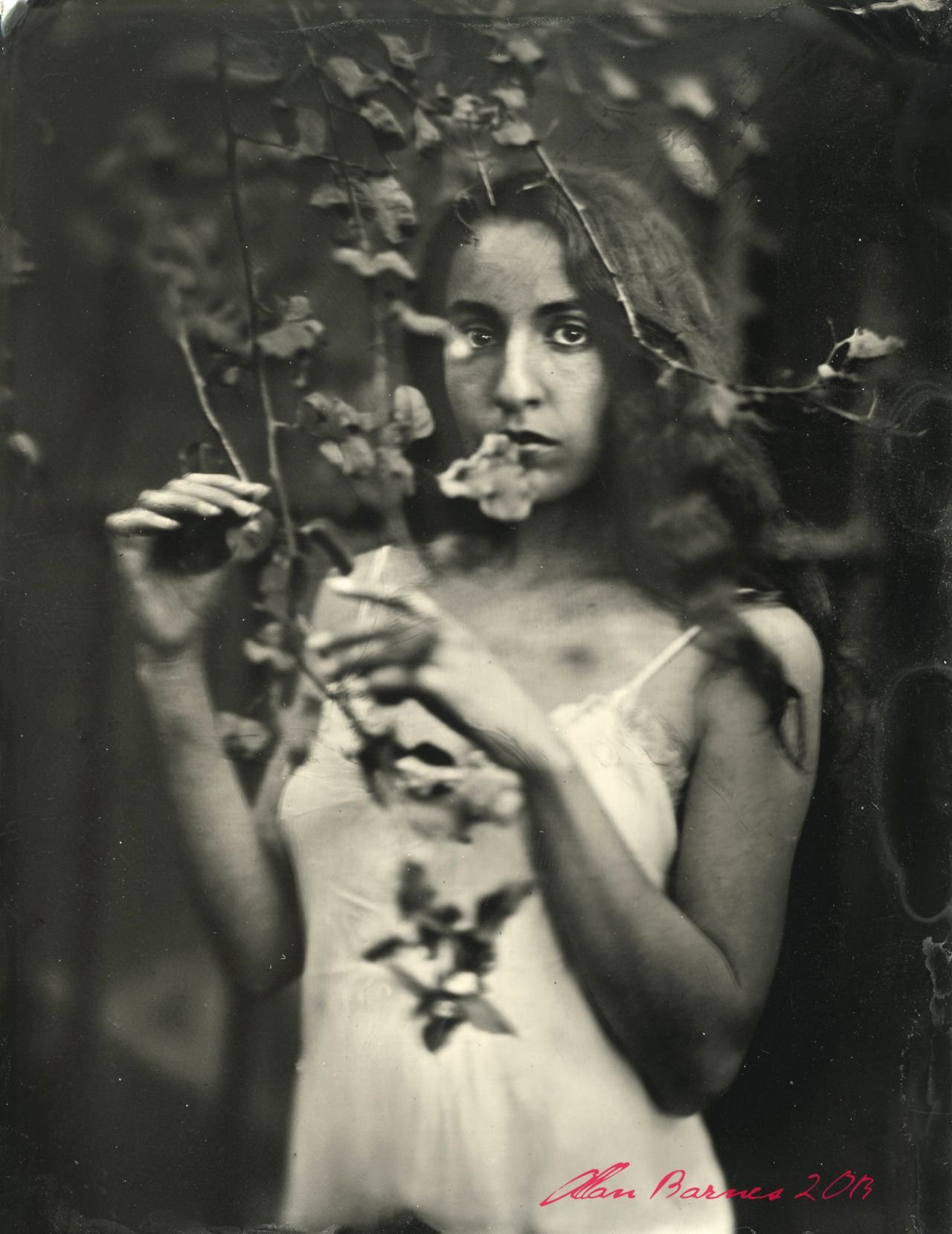 Second Saturday Demo with Allan Barnes