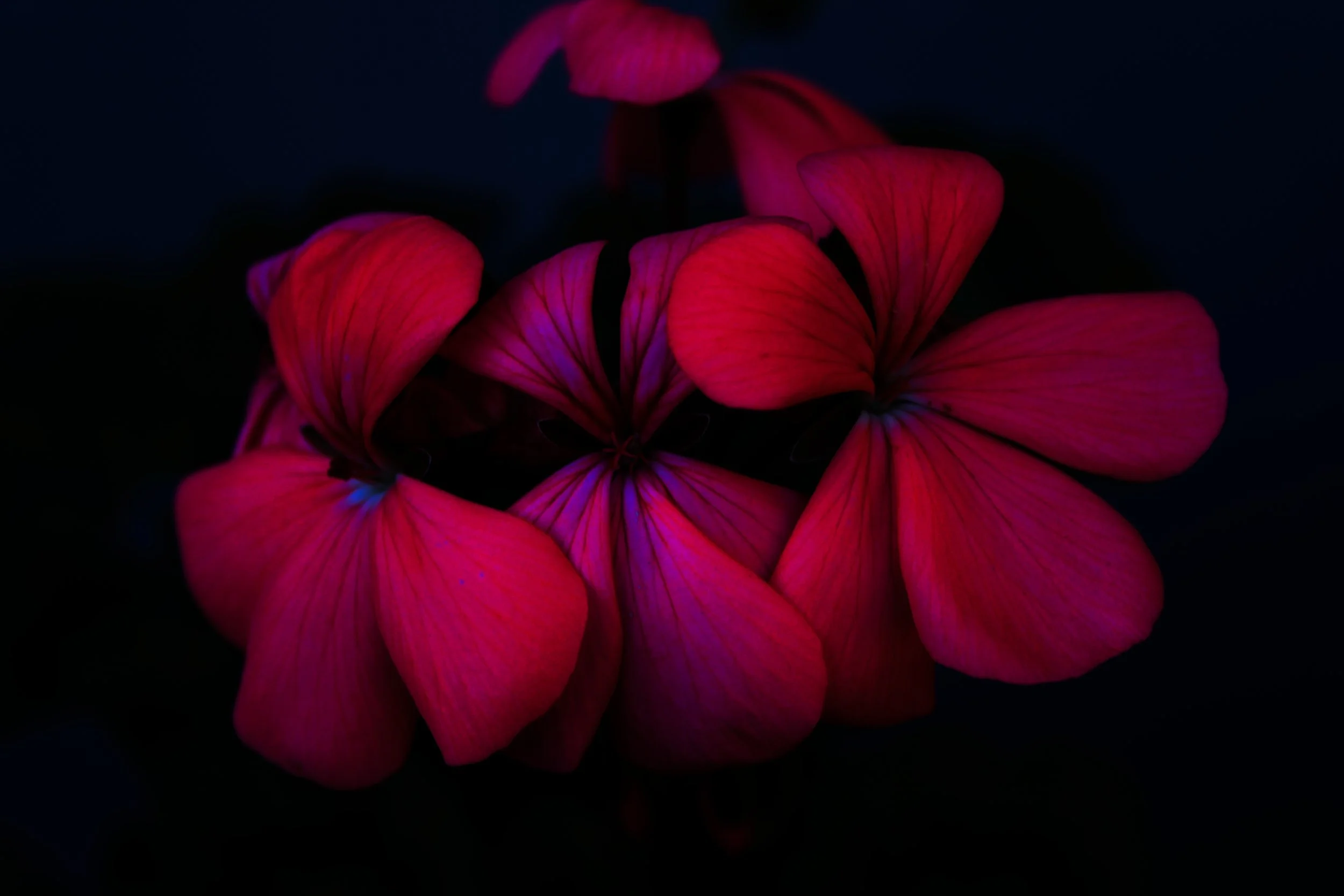 The 2026 Seaside Youth Art Competition