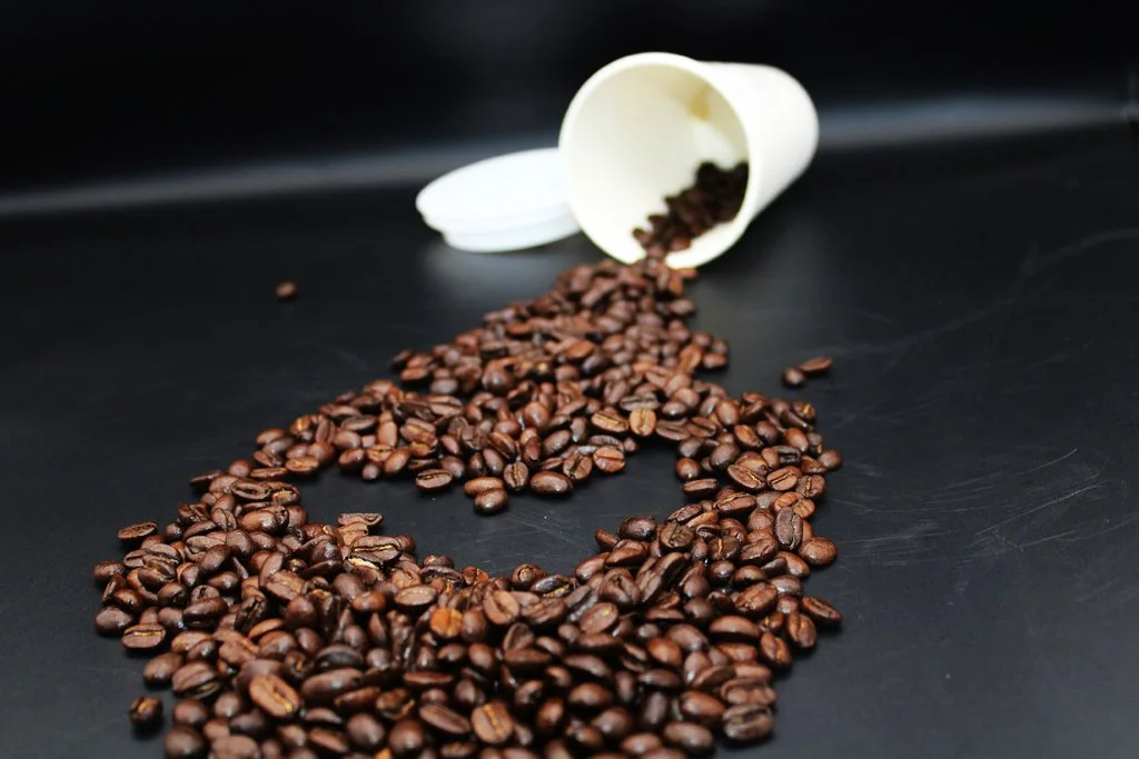 Facing Seaside 5 Online Exhibition