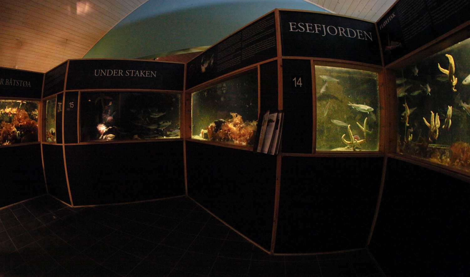 Sognefjord akvarium A38