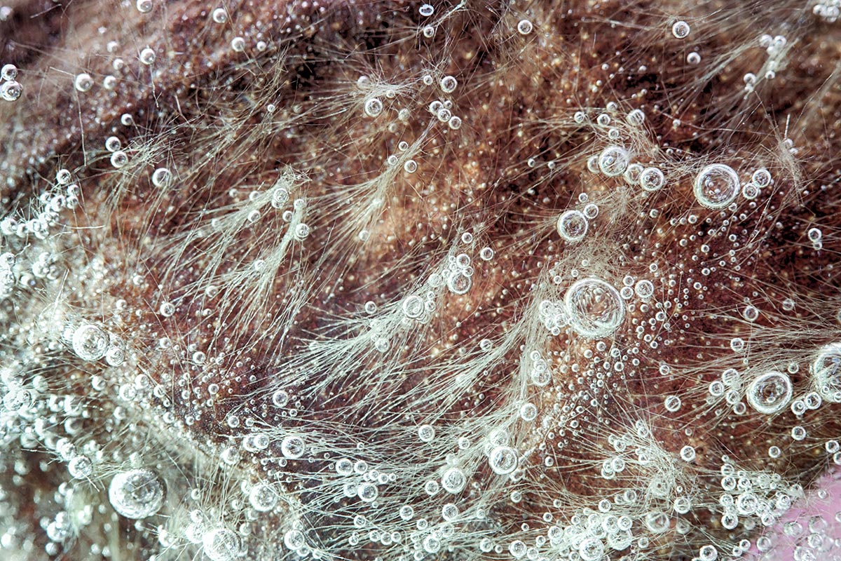 Intersecting Trajectories 3
