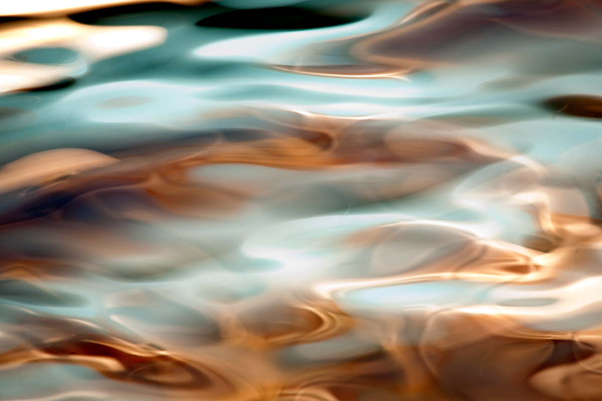 © 2011 Robin Ward. All Reproduction Rights Reserved.